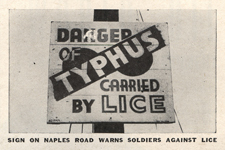 danger-typhus-carried-by-licesml