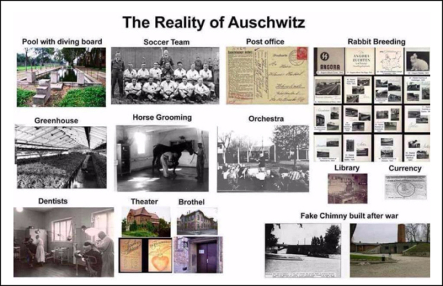 reality-of-auschwitz1-e1496495310587brdr